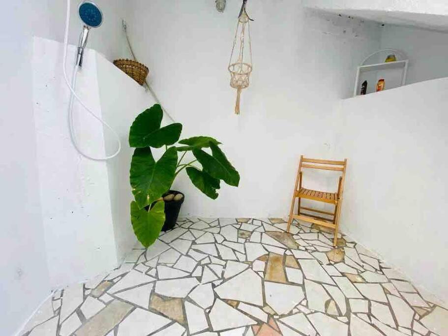 Habitation Nala Proche Bourg Apartment Terre-De-Haut Luaran gambar